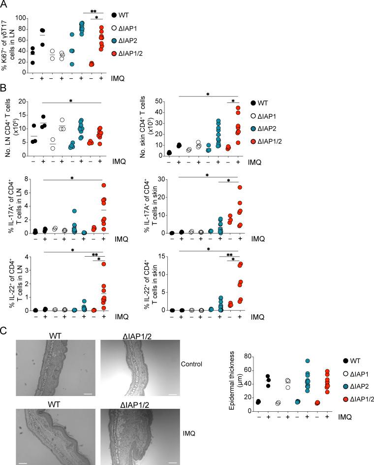 https://cdn.ncbi.nlm.nih.gov/pmc/blobs/b4f6/10345214/290a8b7af8a1/JEM_20221534_FigS4.jpg
