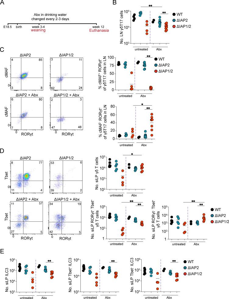 https://cdn.ncbi.nlm.nih.gov/pmc/blobs/b4f6/10345214/31ad624a47ed/JEM_20221534_Fig10.jpg