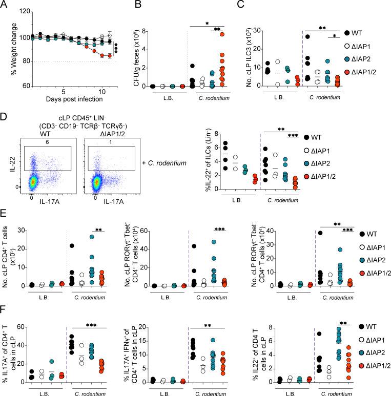 https://cdn.ncbi.nlm.nih.gov/pmc/blobs/b4f6/10345214/42a0d392338b/JEM_20221534_Fig9.jpg