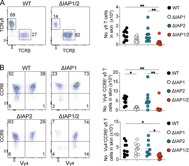 https://cdn.ncbi.nlm.nih.gov/pmc/blobs/b4f6/10345214/46ebbcc96f76/JEM_20221534_Fig2.jpg