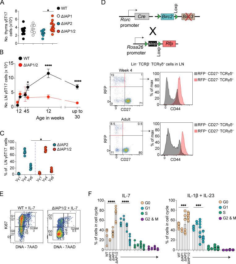 https://cdn.ncbi.nlm.nih.gov/pmc/blobs/b4f6/10345214/9e5b6062d7c6/JEM_20221534_Fig4.jpg
