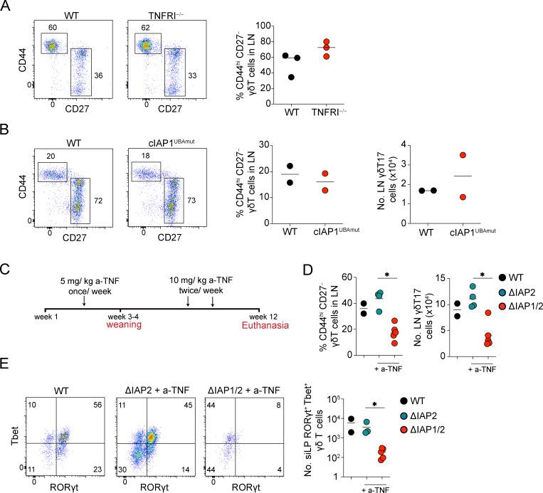 https://cdn.ncbi.nlm.nih.gov/pmc/blobs/b4f6/10345214/afc643031112/JEM_20221534_FigS2.jpg