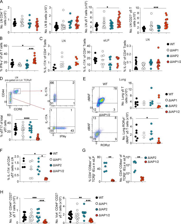 https://cdn.ncbi.nlm.nih.gov/pmc/blobs/b4f6/10345214/d966ee404d8d/JEM_20221534_FigS1.jpg