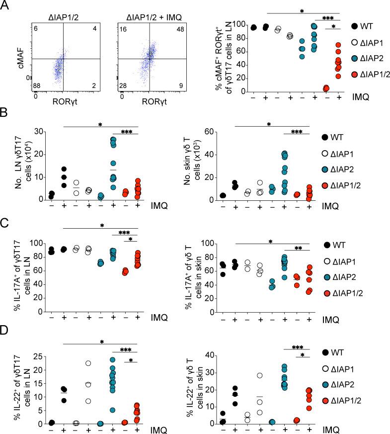https://cdn.ncbi.nlm.nih.gov/pmc/blobs/b4f6/10345214/eaad2c6f2b8a/JEM_20221534_Fig7.jpg