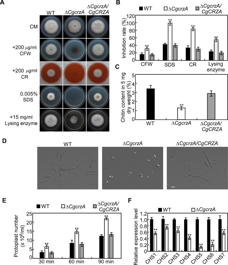 https://cdn.ncbi.nlm.nih.gov/pmc/blobs/b4f6/7542025/f7efc2d3725f/PPJ-36-385-f4.jpg