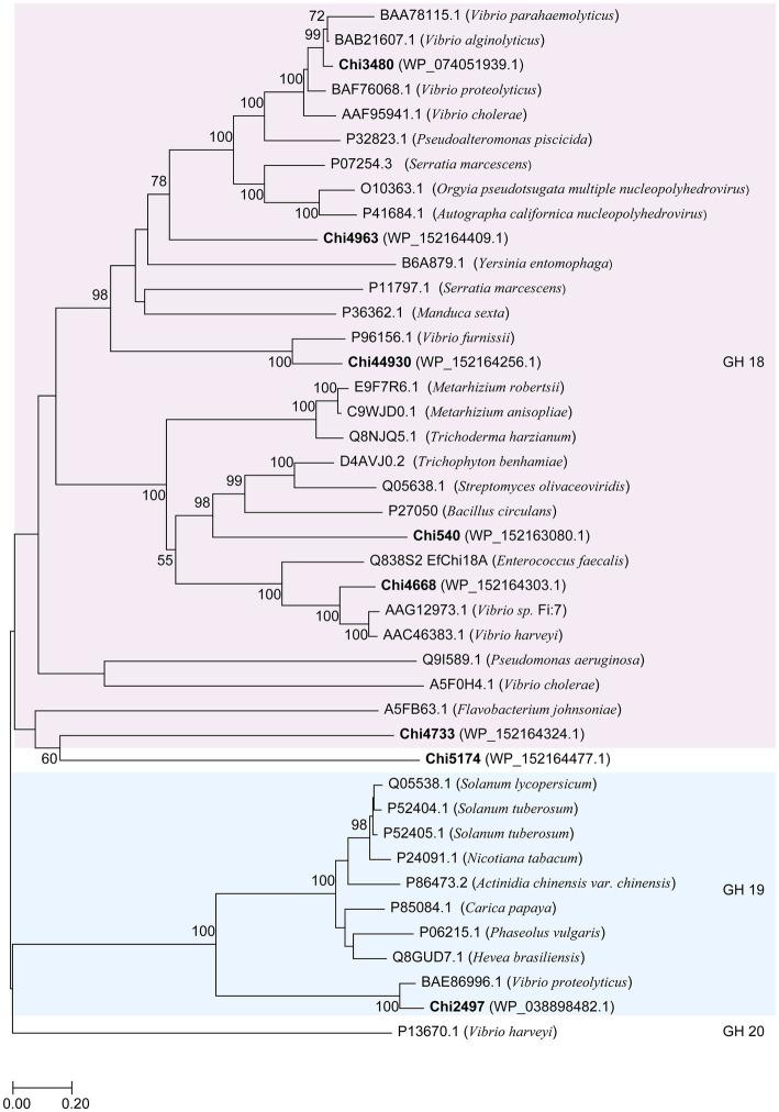 https://cdn.ncbi.nlm.nih.gov/pmc/blobs/b4f9/10350509/a0c05d1df042/fmicb-14-1121720-g005.jpg