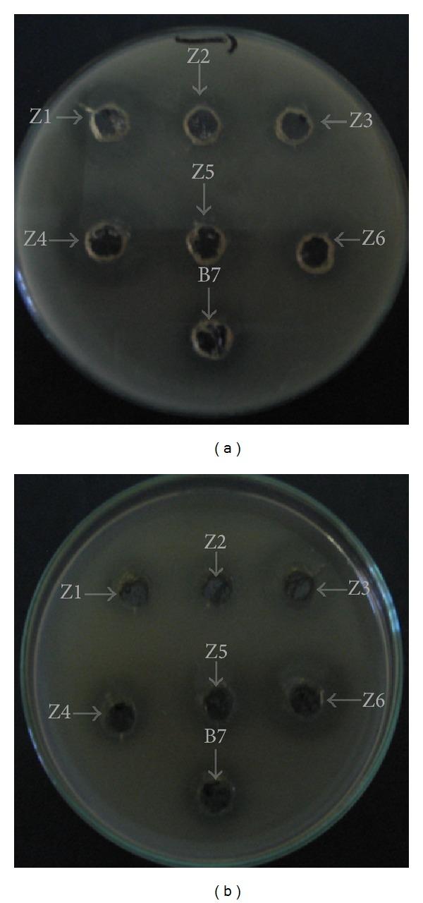 https://cdn.ncbi.nlm.nih.gov/pmc/blobs/b4fc/3997938/bf99a4e7ecae/BMRI2014-853238.001.jpg
