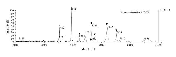 https://cdn.ncbi.nlm.nih.gov/pmc/blobs/b4fc/3997938/fe500f0bf66b/BMRI2014-853238.003.jpg