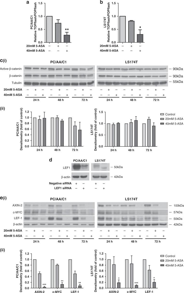 https://cdn.ncbi.nlm.nih.gov/pmc/blobs/b4fd/8184823/21b142bb2361/41416_2021_1354_Fig2_HTML.jpg