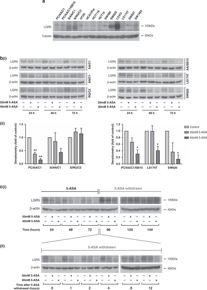 https://cdn.ncbi.nlm.nih.gov/pmc/blobs/b4fd/8184823/d6c132ba61ca/41416_2021_1354_Fig3_HTML.jpg