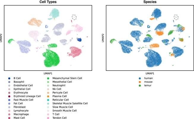 https://cdn.ncbi.nlm.nih.gov/pmc/blobs/b501/11310084/873e482d266f/41592_2024_2191_Fig5_ESM.jpg