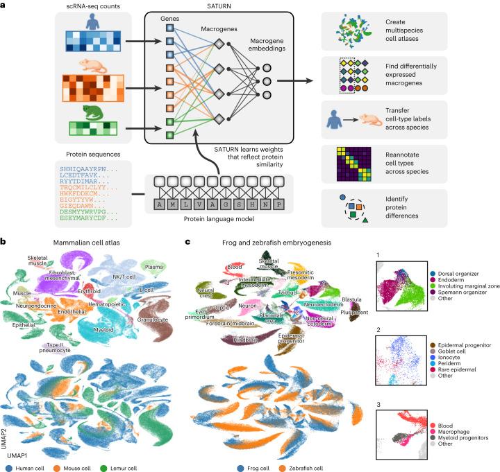 https://cdn.ncbi.nlm.nih.gov/pmc/blobs/b501/11310084/88dc6b0c7c6f/41592_2024_2191_Fig1_HTML.jpg