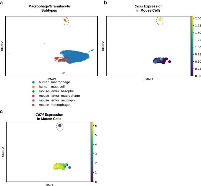 https://cdn.ncbi.nlm.nih.gov/pmc/blobs/b501/11310084/99f3d153308d/41592_2024_2191_Fig6_ESM.jpg