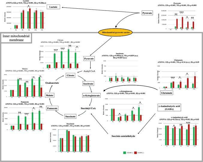 https://cdn.ncbi.nlm.nih.gov/pmc/blobs/b504/12331984/554834d25d88/41598_2025_13764_Fig7_HTML.jpg