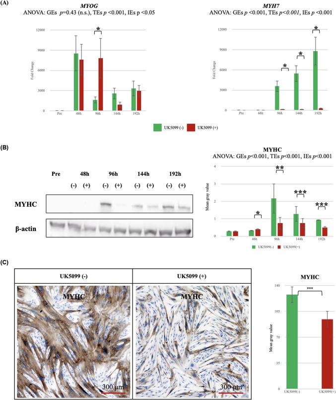 https://cdn.ncbi.nlm.nih.gov/pmc/blobs/b504/12331984/af4b8bbb49fa/41598_2025_13764_Fig6_HTML.jpg