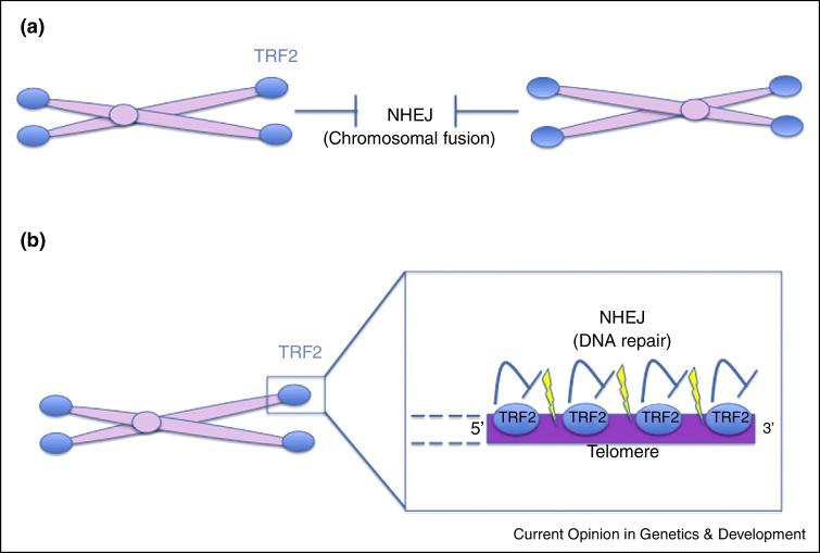 https://cdn.ncbi.nlm.nih.gov/pmc/blobs/b504/4217147/f072b6763bdf/gr1.jpg