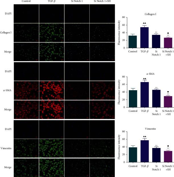 https://cdn.ncbi.nlm.nih.gov/pmc/blobs/b504/9925256/b8bfbcbf3ee2/ECAM2023-3352353.008.jpg