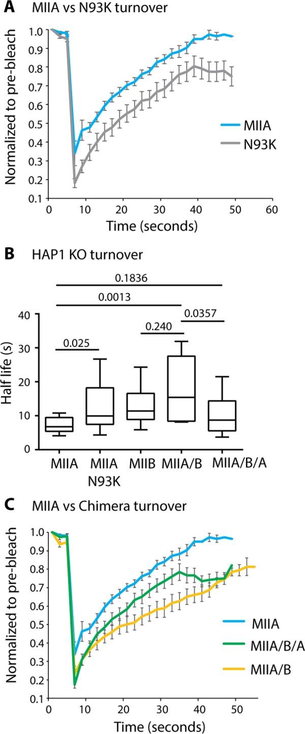 https://cdn.ncbi.nlm.nih.gov/pmc/blobs/b505/6724514/38c575cb1f99/mbc-30-1051-g004.jpg