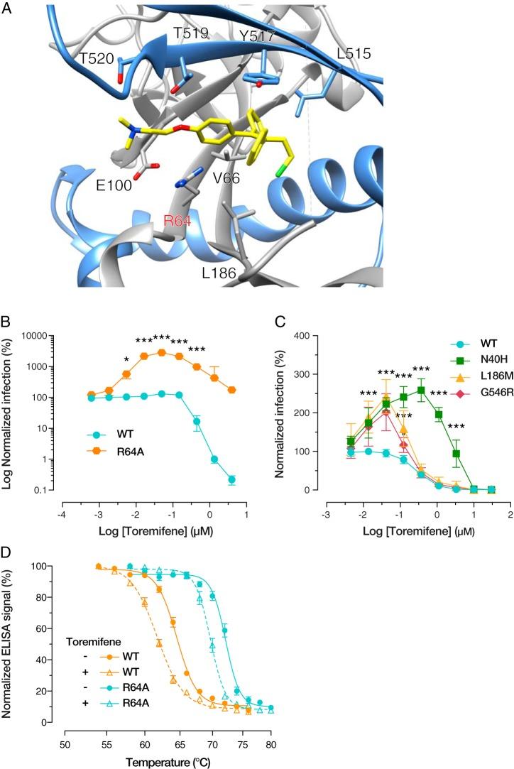 https://cdn.ncbi.nlm.nih.gov/pmc/blobs/b505/6747718/f6b797d240a4/mBio.01408-19-f0008.jpg