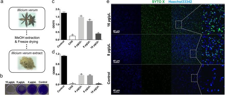 https://cdn.ncbi.nlm.nih.gov/pmc/blobs/b506/9431622/187692ed5577/spectrum.01199-22-f001.jpg