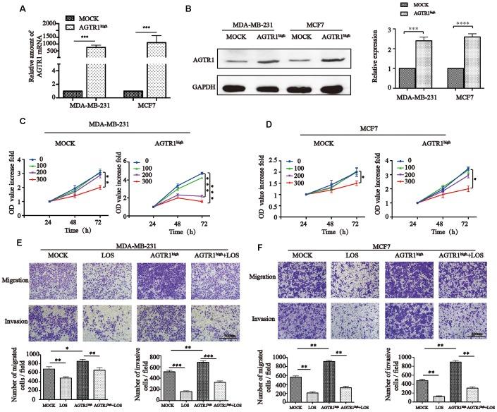 https://cdn.ncbi.nlm.nih.gov/pmc/blobs/b507/6628987/8600dd602fc3/aging-11-102032-g003.jpg