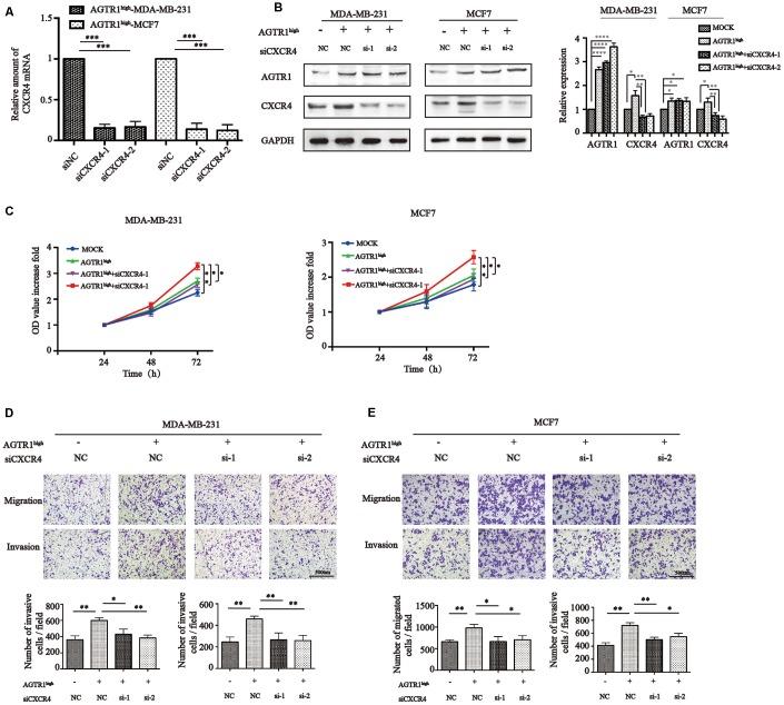 https://cdn.ncbi.nlm.nih.gov/pmc/blobs/b507/6628987/bce8cf629725/aging-11-102032-g005.jpg