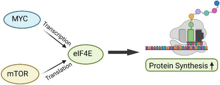 https://cdn.ncbi.nlm.nih.gov/pmc/blobs/b508/11711608/cb2f360a6831/12672_2025_1761_Fig2_HTML.jpg