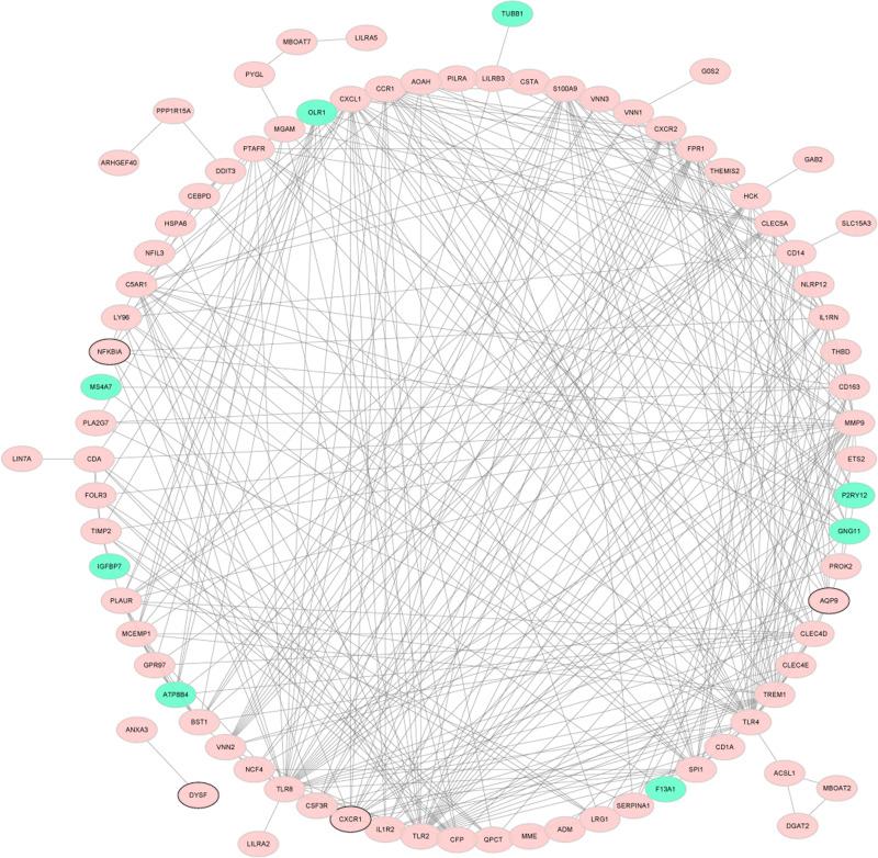 https://cdn.ncbi.nlm.nih.gov/pmc/blobs/b508/8863347/1560c532b7ab/IJGM-15-1715-g0006.jpg