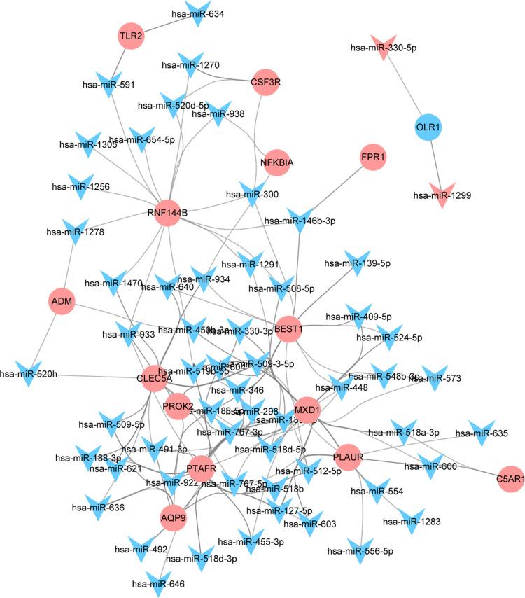 https://cdn.ncbi.nlm.nih.gov/pmc/blobs/b508/8863347/f1b4a615d5fa/IJGM-15-1715-g0004.jpg