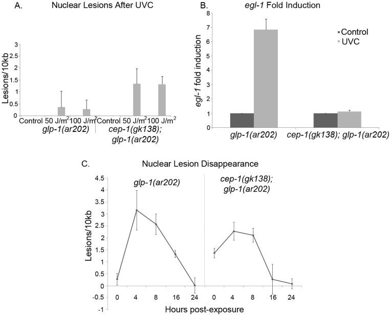 https://cdn.ncbi.nlm.nih.gov/pmc/blobs/b50a/3930633/d4b58710e0fa/pone.0088828.g004.jpg