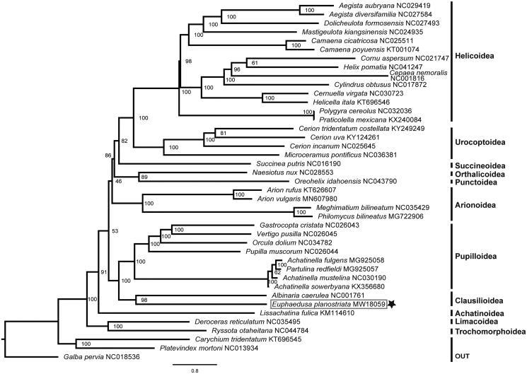 https://cdn.ncbi.nlm.nih.gov/pmc/blobs/b50a/8128198/e3dfb97b5a2f/TMDN_A_1927225_F0001_B.jpg