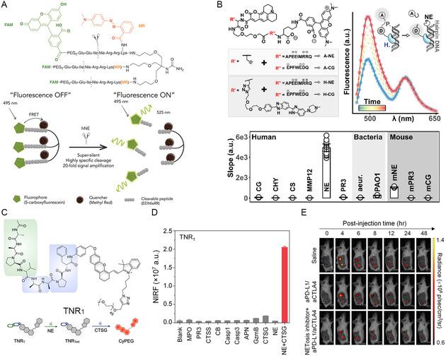 https://cdn.ncbi.nlm.nih.gov/pmc/blobs/b50b/11935012/a9286763534e/SMSC-4-2400212-g005.jpg