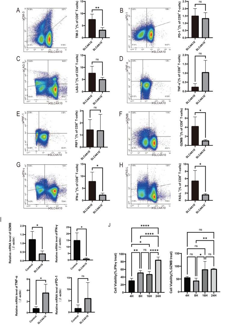 https://cdn.ncbi.nlm.nih.gov/pmc/blobs/b50b/12159029/eb30e901a71c/fimmu-16-1568999-g004.jpg