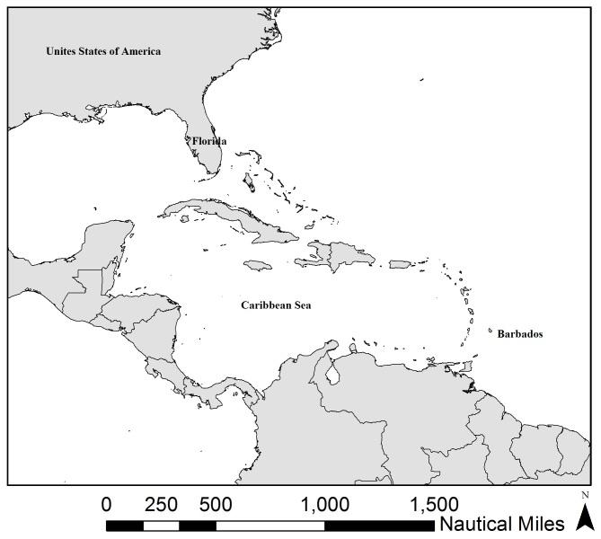 https://cdn.ncbi.nlm.nih.gov/pmc/blobs/b50c/6728314/8f9b5de6852e/bdj-07-e38219-g002.jpg