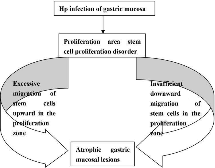 https://cdn.ncbi.nlm.nih.gov/pmc/blobs/b50c/9273833/a39bbe10165d/IDR-15-3619-g0001.jpg