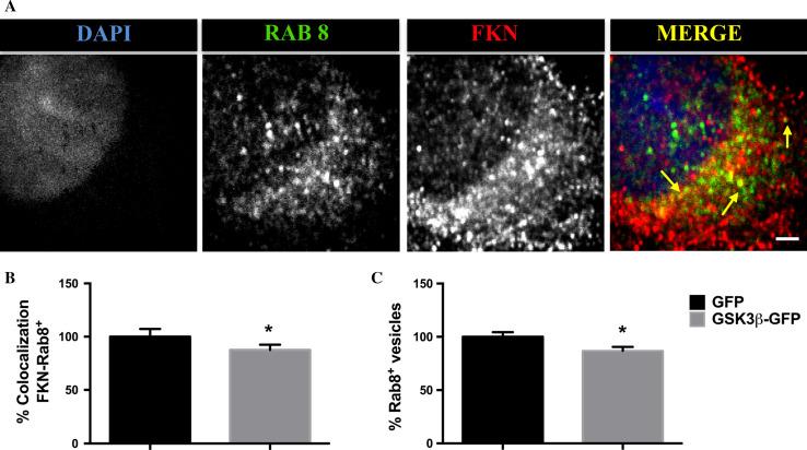 https://cdn.ncbi.nlm.nih.gov/pmc/blobs/b50d/11107751/c5bd8b361bb0/18_2016_2408_Fig3_HTML.jpg