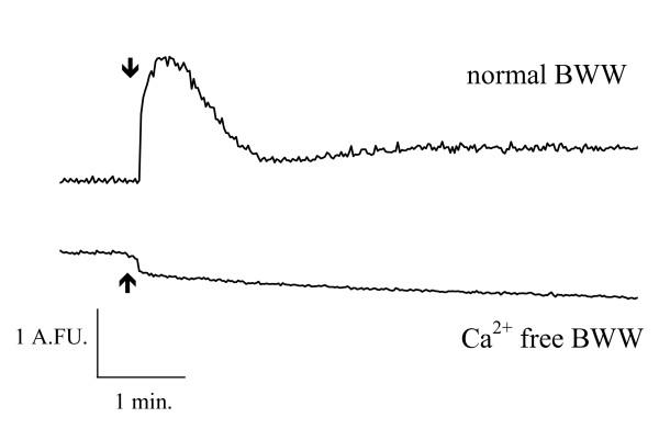 https://cdn.ncbi.nlm.nih.gov/pmc/blobs/b50d/1712232/7e7f24ed940c/1471-213X-6-59-4.jpg