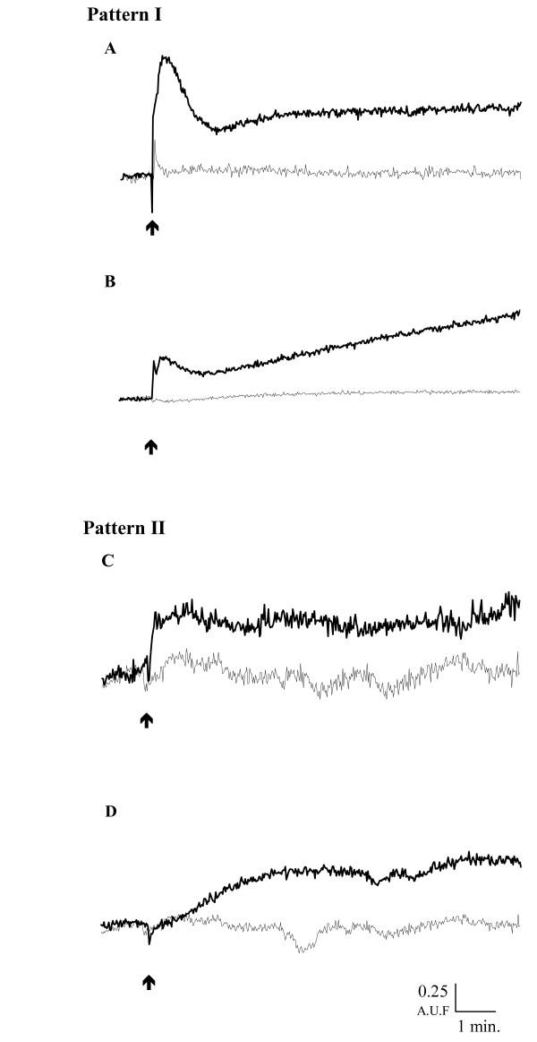 https://cdn.ncbi.nlm.nih.gov/pmc/blobs/b50d/1712232/9a06add6481d/1471-213X-6-59-3.jpg