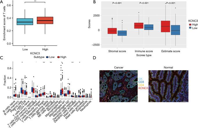 https://cdn.ncbi.nlm.nih.gov/pmc/blobs/b50f/12078811/327fa7c33ee5/jgo-16-02-453-f3.jpg