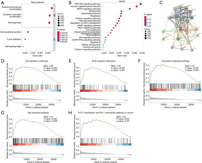 https://cdn.ncbi.nlm.nih.gov/pmc/blobs/b50f/12078811/8575e3ef7017/jgo-16-02-453-f2.jpg