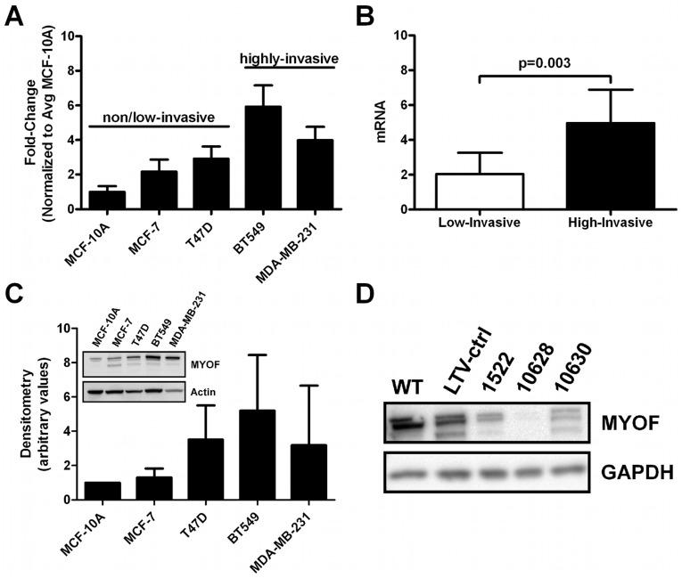 https://cdn.ncbi.nlm.nih.gov/pmc/blobs/b512/3384637/8ff2f6f8b562/pone.0039766.g001.jpg