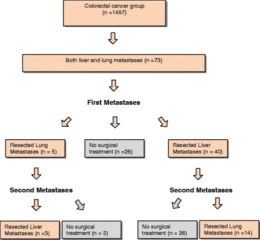 https://cdn.ncbi.nlm.nih.gov/pmc/blobs/b515/2974188/9aa51ca9fe68/423_2010_595_Fig1_HTML.jpg