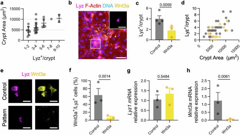 https://cdn.ncbi.nlm.nih.gov/pmc/blobs/b516/11698991/b47dd2c83a28/41467_2024_55651_Fig3_HTML.jpg