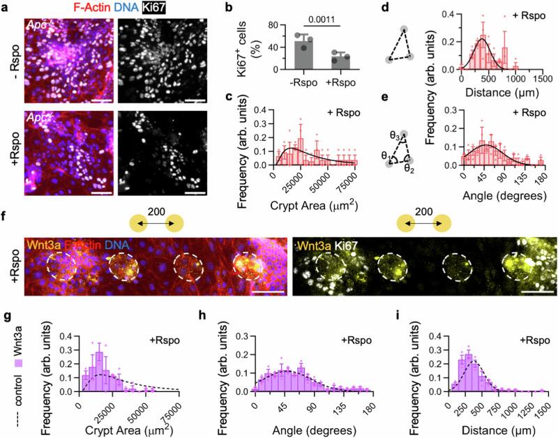 https://cdn.ncbi.nlm.nih.gov/pmc/blobs/b516/11698991/e64011daf3a1/41467_2024_55651_Fig7_HTML.jpg