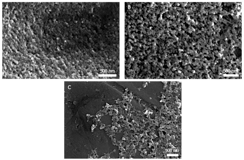 https://cdn.ncbi.nlm.nih.gov/pmc/blobs/b51d/5853757/75025d9a6a24/nanomaterials-08-00126-g003.jpg