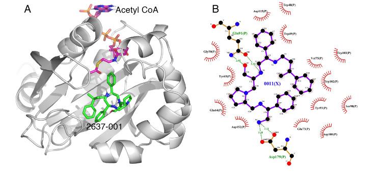 https://cdn.ncbi.nlm.nih.gov/pmc/blobs/b51e/8471502/5b6a224a0eca/biomedicines-09-01218-g001.jpg