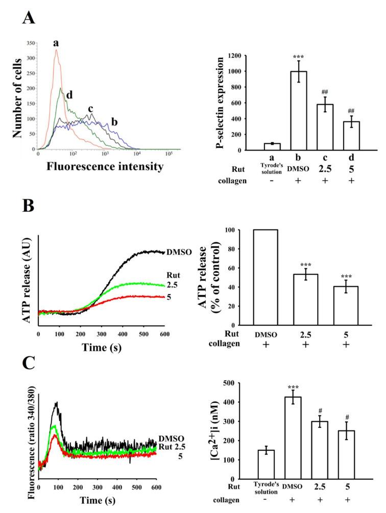 https://cdn.ncbi.nlm.nih.gov/pmc/blobs/b51f/8537152/6d0bc587e753/ijms-22-11109-g002.jpg