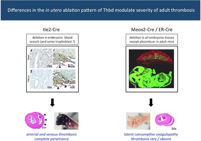 https://cdn.ncbi.nlm.nih.gov/pmc/blobs/b520/5728316/96003aaa7513/advances005058absf1.jpg