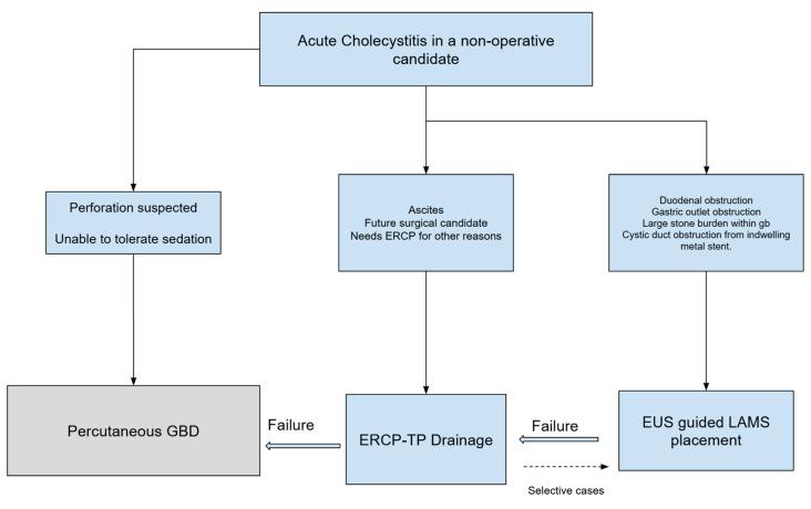 https://cdn.ncbi.nlm.nih.gov/pmc/blobs/b522/11766296/f64dc33cf5ff/jcm-14-00494-g003.jpg