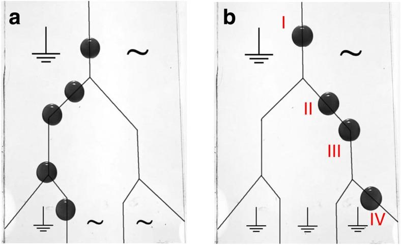 https://cdn.ncbi.nlm.nih.gov/pmc/blobs/b522/3996538/54bc3c3b2b89/ncomms4559-f5.jpg